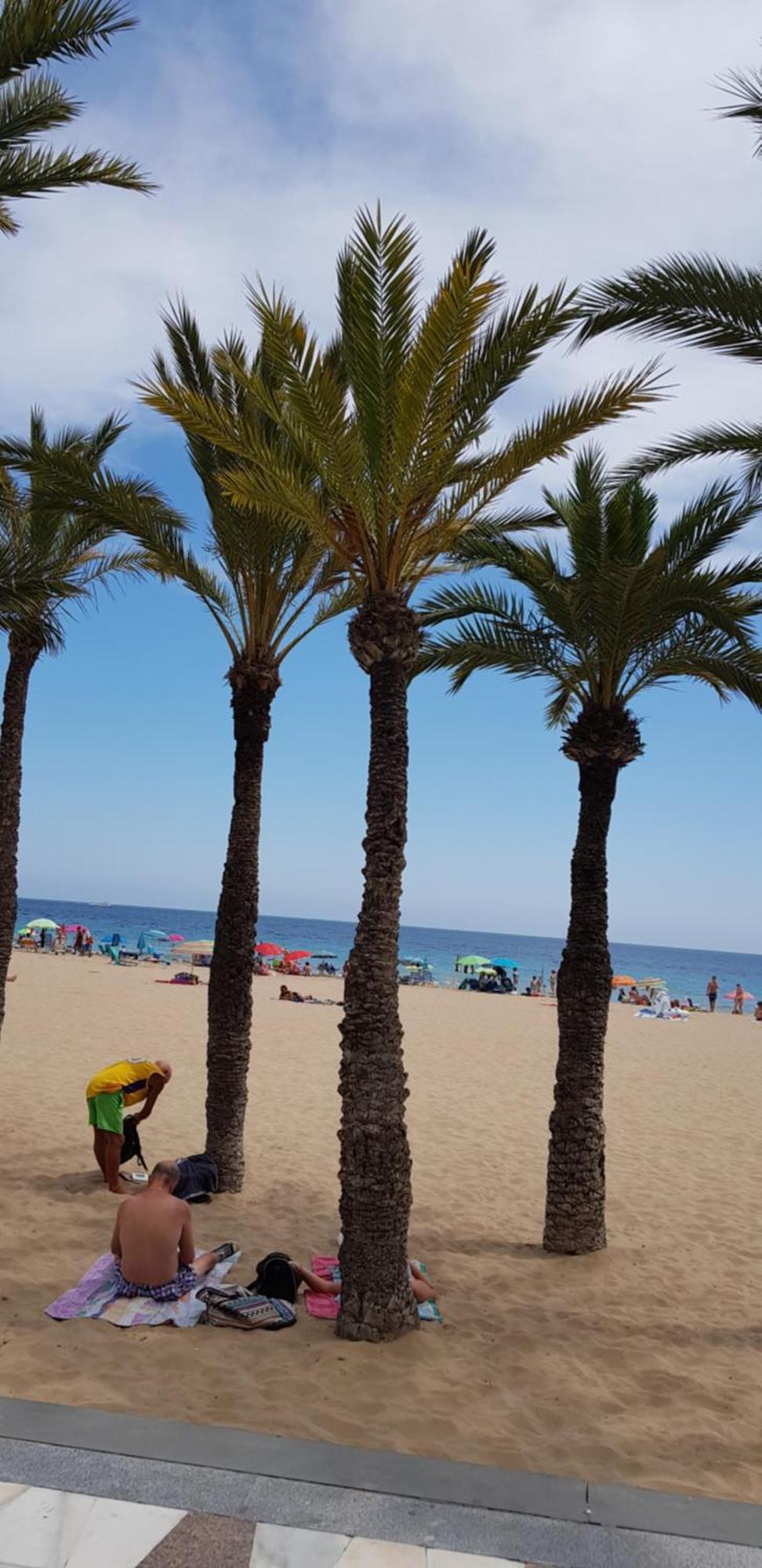 Апартаменты Benidorm Beach Экстерьер фото